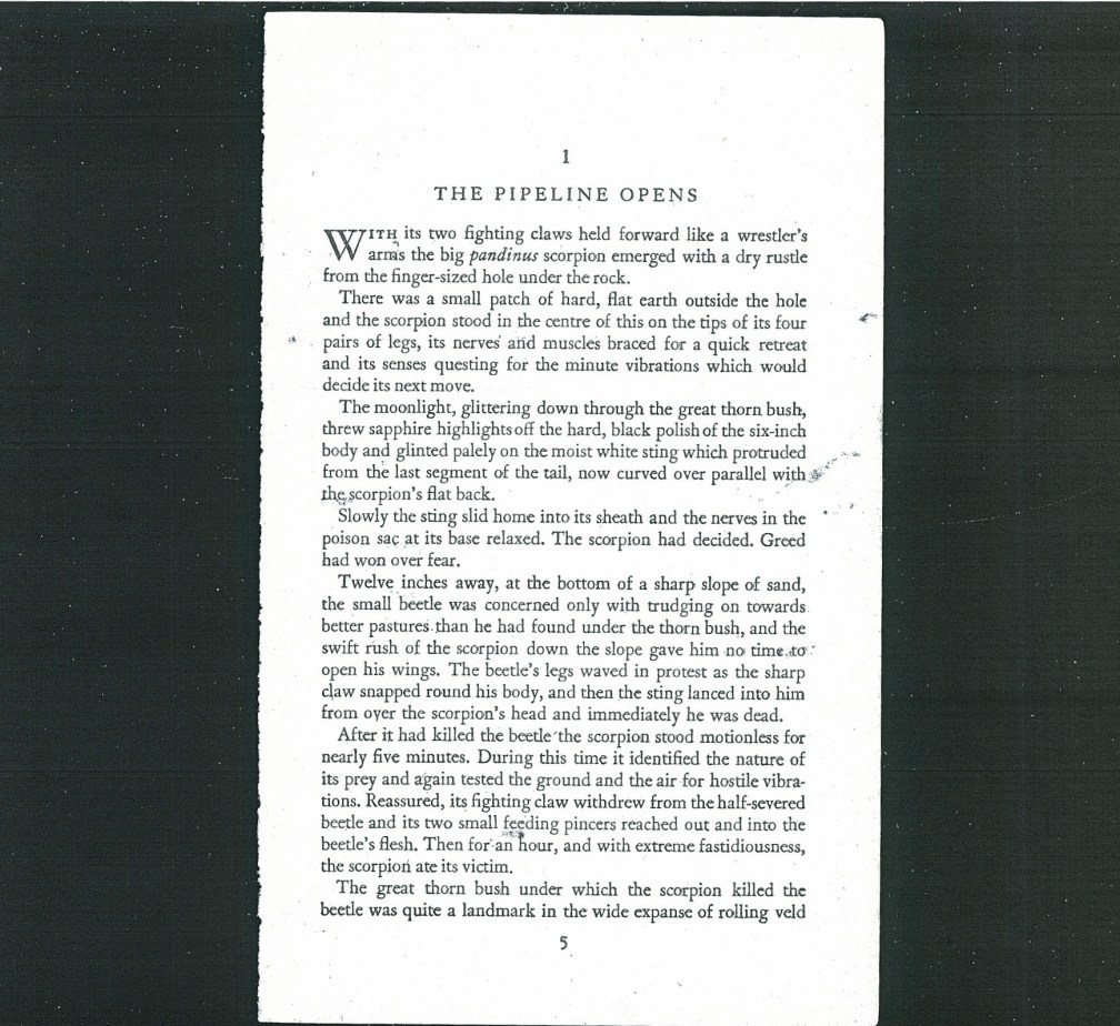 DC-260-78CC1A2783p12 DC-260-78CC1A2783p12